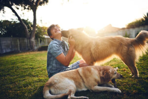 Is Your Backyard Fido-Friendly? Learn How to Make Your Backyard Better for Dogs